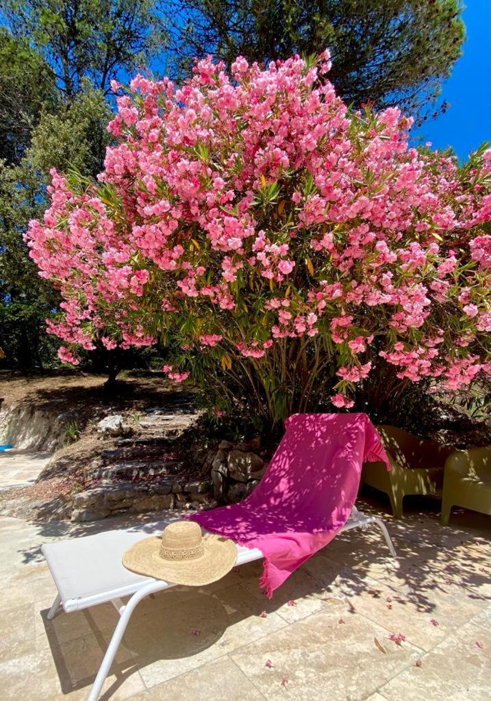 La Bastide Blanche Magnifique Villa 5 Etoiles 5 Chambres Et Piscine Privee Sur 6500 M Var Lorgues Luaran gambar